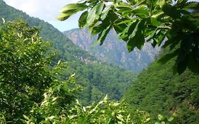 B&B Ca' Del Pitur Cicogna
